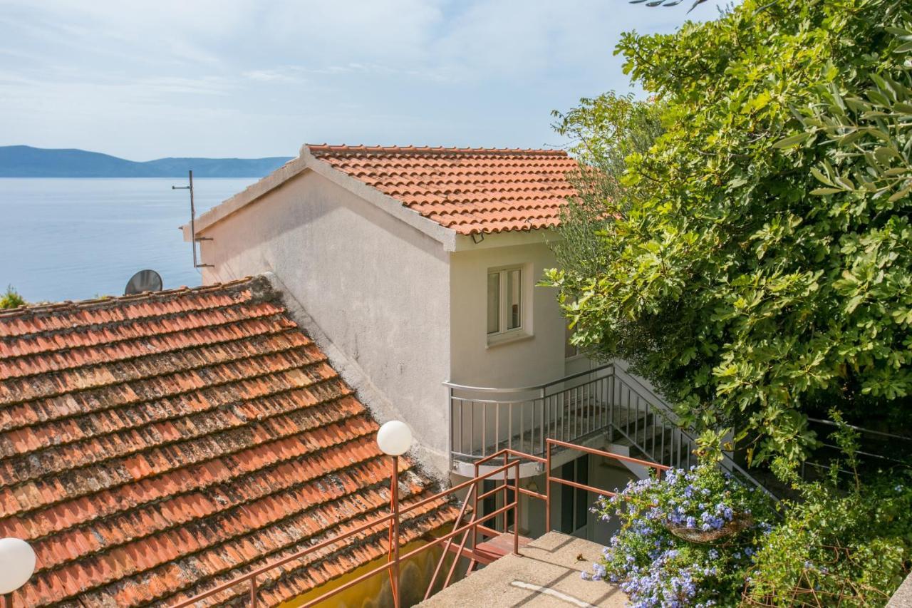 Apartments By The Sea Zivogosce - Porat, Makarska - 20207 Igrane Ngoại thất bức ảnh