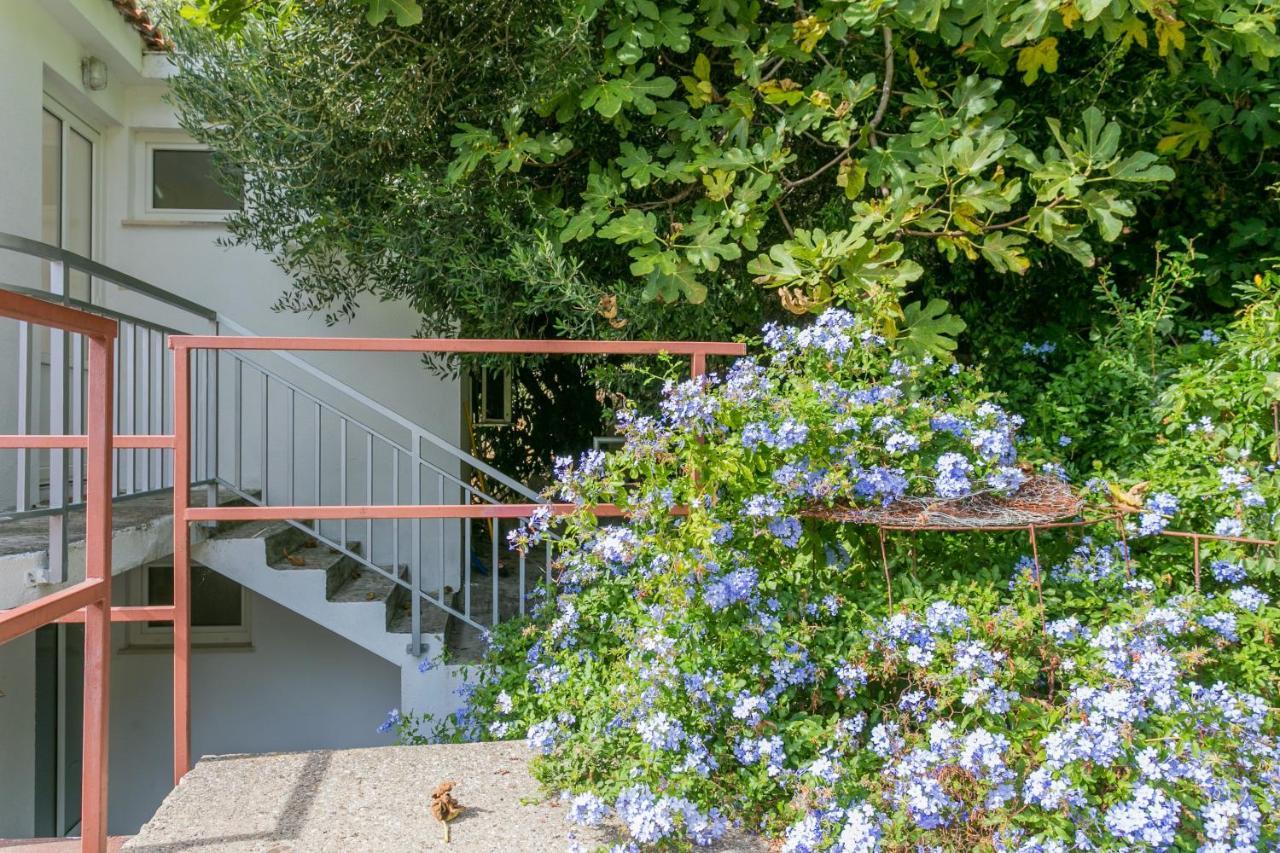 Apartments By The Sea Zivogosce - Porat, Makarska - 20207 Igrane Ngoại thất bức ảnh